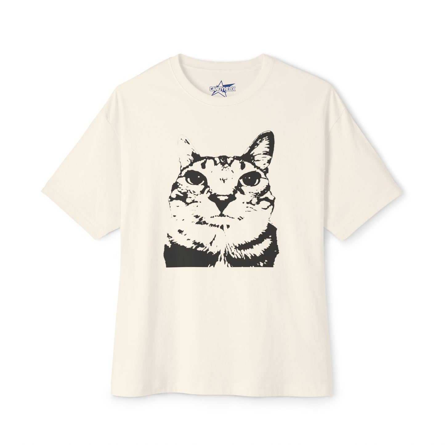 Cat Lover Unisex Oversized Boxy Tee, Cute Cat Graphic Shirt, Funny Cat Apparel, Gifts for Cat Owners, Casual Wear, Meme Funny Teen Brainrot
