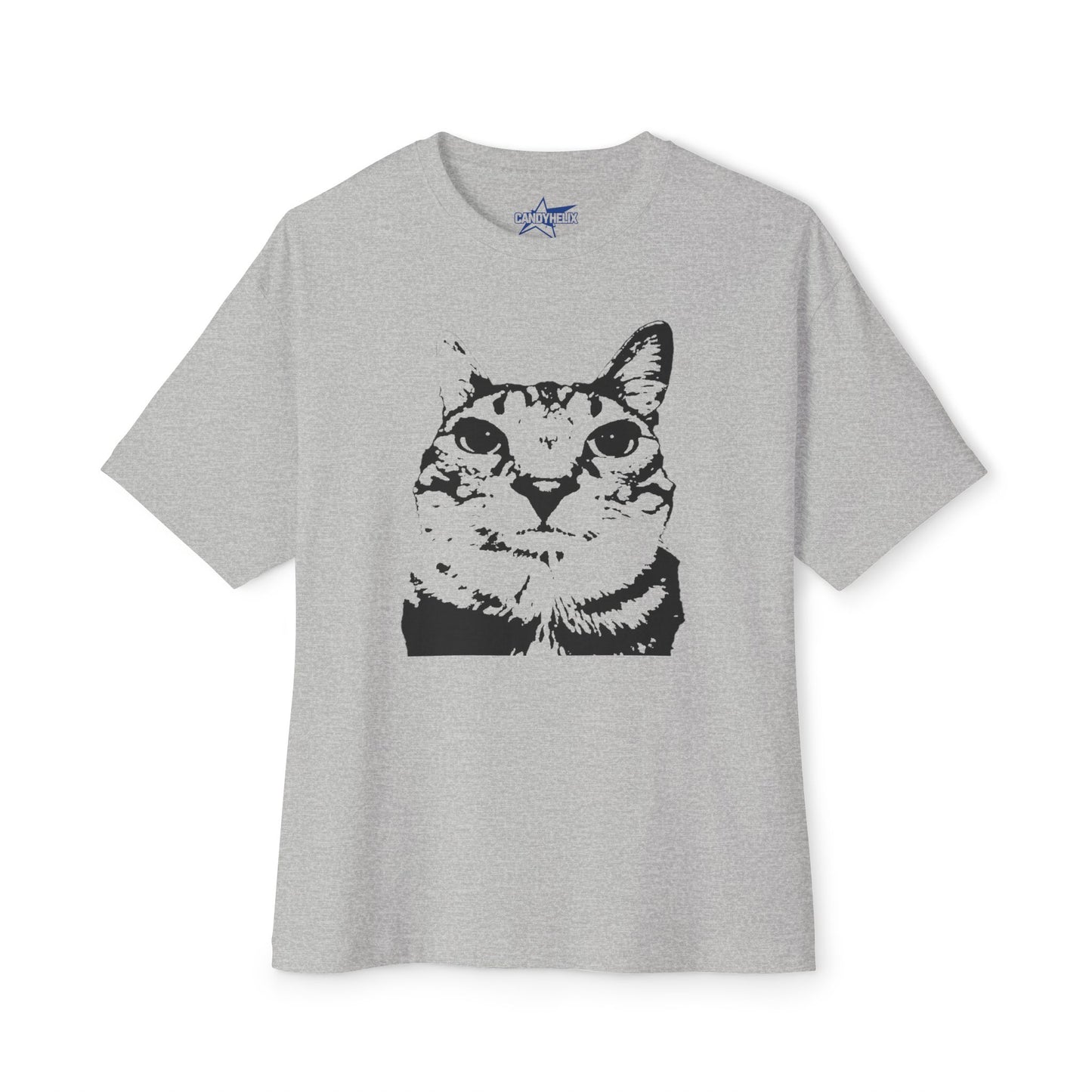 Cat Lover Unisex Oversized Boxy Tee, Cute Cat Graphic Shirt, Funny Cat Apparel, Gifts for Cat Owners, Casual Wear, Meme Funny Teen Brainrot
