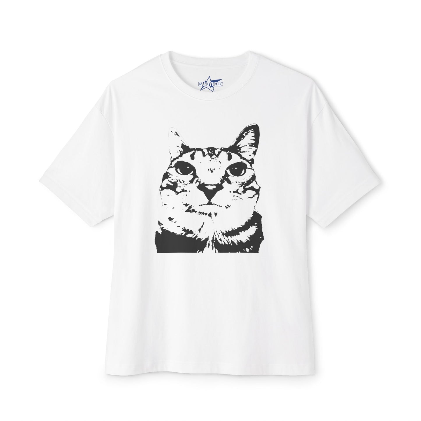 Cat Lover Unisex Oversized Boxy Tee, Cute Cat Graphic Shirt, Funny Cat Apparel, Gifts for Cat Owners, Casual Wear, Meme Funny Teen Brainrot